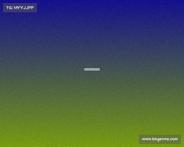 海南纵横科技有限公司